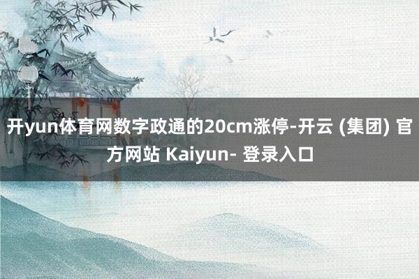 开yun体育网数字政通的20cm涨停-开云 (集团) 官方网站 Kaiyun- 登录入口