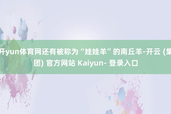 开yun体育网还有被称为“娃娃羊”的南丘羊-开云 (集团) 官方网站 Kaiyun- 登录入口
