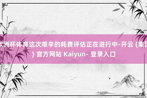 欧洲杯体育这次艰辛的耗费评估正在进行中-开云 (集团) 官方网站 Kaiyun- 登录入口