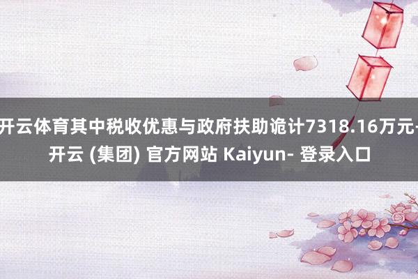 开云体育其中税收优惠与政府扶助诡计7318.16万元-开云 (集团) 官方网站 Kaiyun- 登录入口