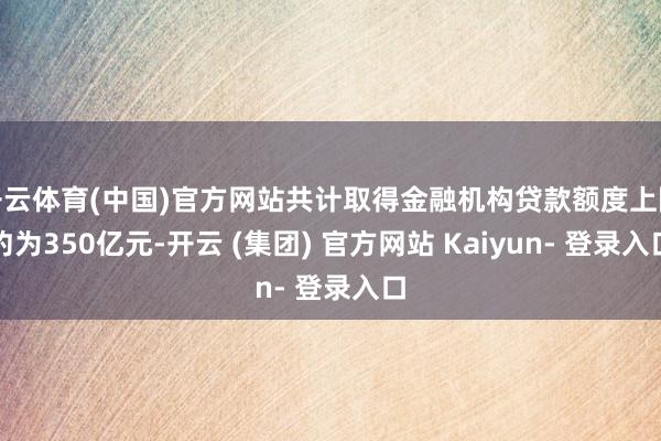 开云体育(中国)官方网站共计取得金融机构贷款额度上限约为350亿元-开云 (集团) 官方网站 Kaiyun- 登录入口