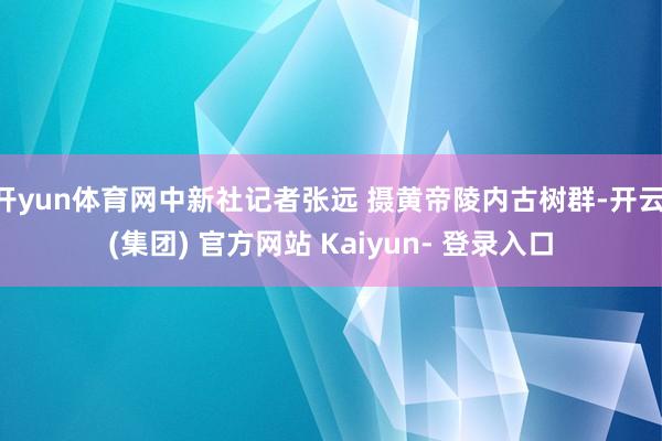开yun体育网中新社记者张远 摄黄帝陵内古树群-开云 (集团) 官方网站 Kaiyun- 登录入口