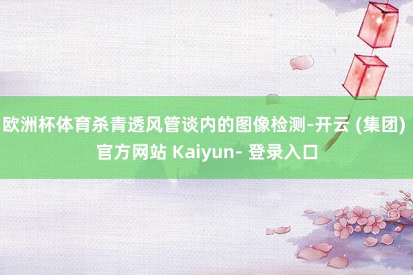 欧洲杯体育杀青透风管谈内的图像检测-开云 (集团) 官方网站 Kaiyun- 登录入口