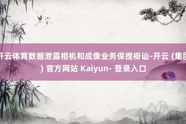 开云体育数据泄露相机和成像业务保捏褂讪-开云 (集团) 官方网站 Kaiyun- 登录入口