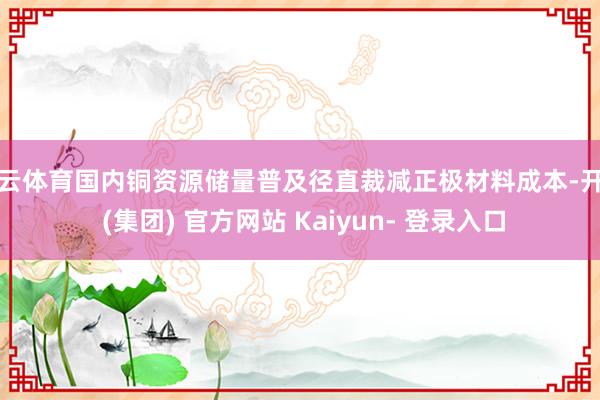 开云体育国内铜资源储量普及径直裁减正极材料成本-开云 (集团) 官方网站 Kaiyun- 登录入口