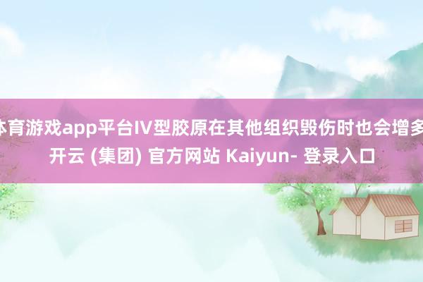 体育游戏app平台IV型胶原在其他组织毁伤时也会增多-开云 (集团) 官方网站 Kaiyun- 登录入口